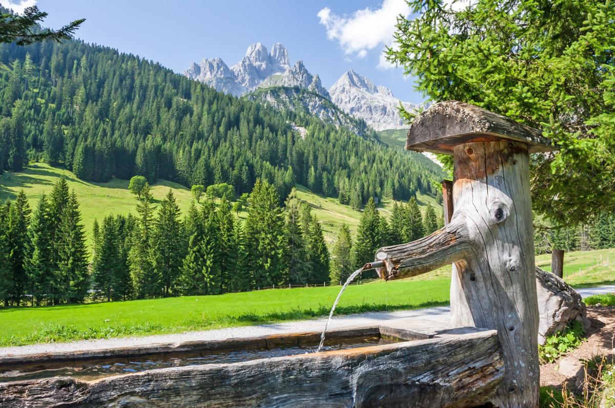 Tanken Sie Kraft am Almsee in der Hofalm