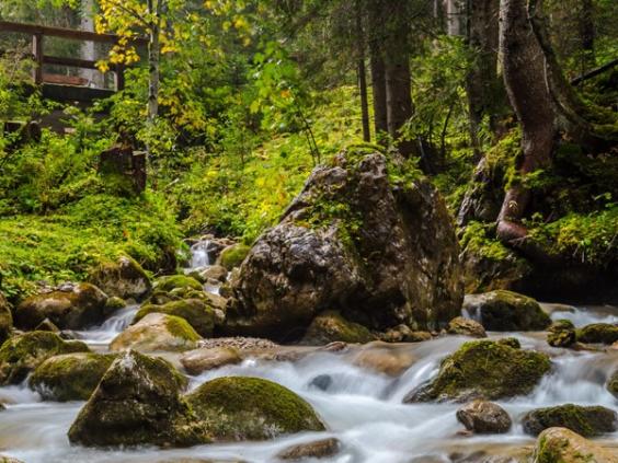 Entdecken Sie bei Ihren Wanderungen die Kraftplätze in Filzmoos