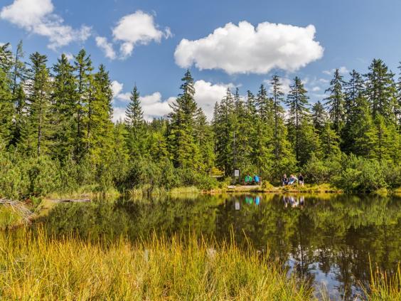 Wanderung zur sagenumwobenen "Schwarzen Lacke"